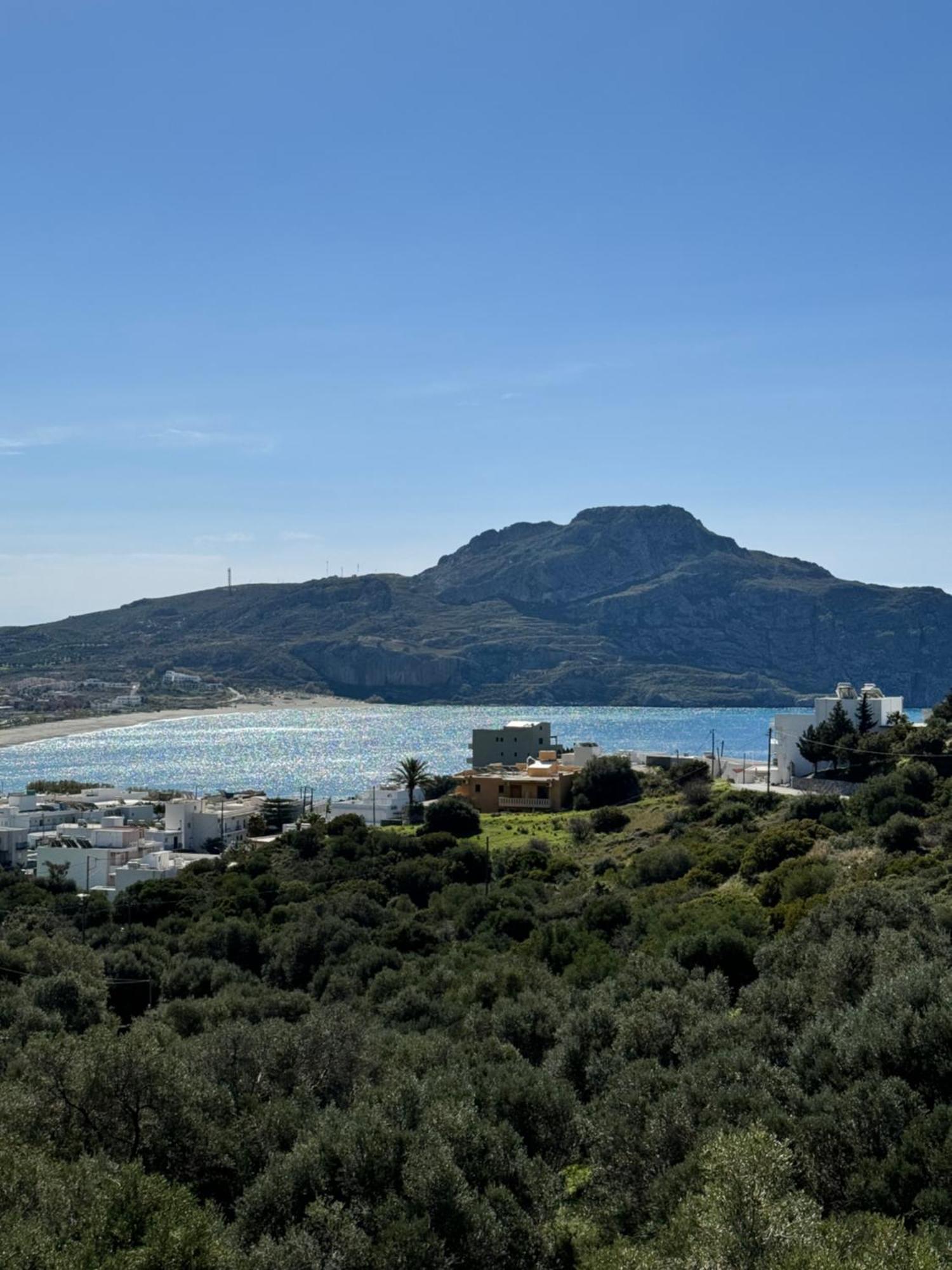 Olive Grove Leilighet Plakiás Eksteriør bilde