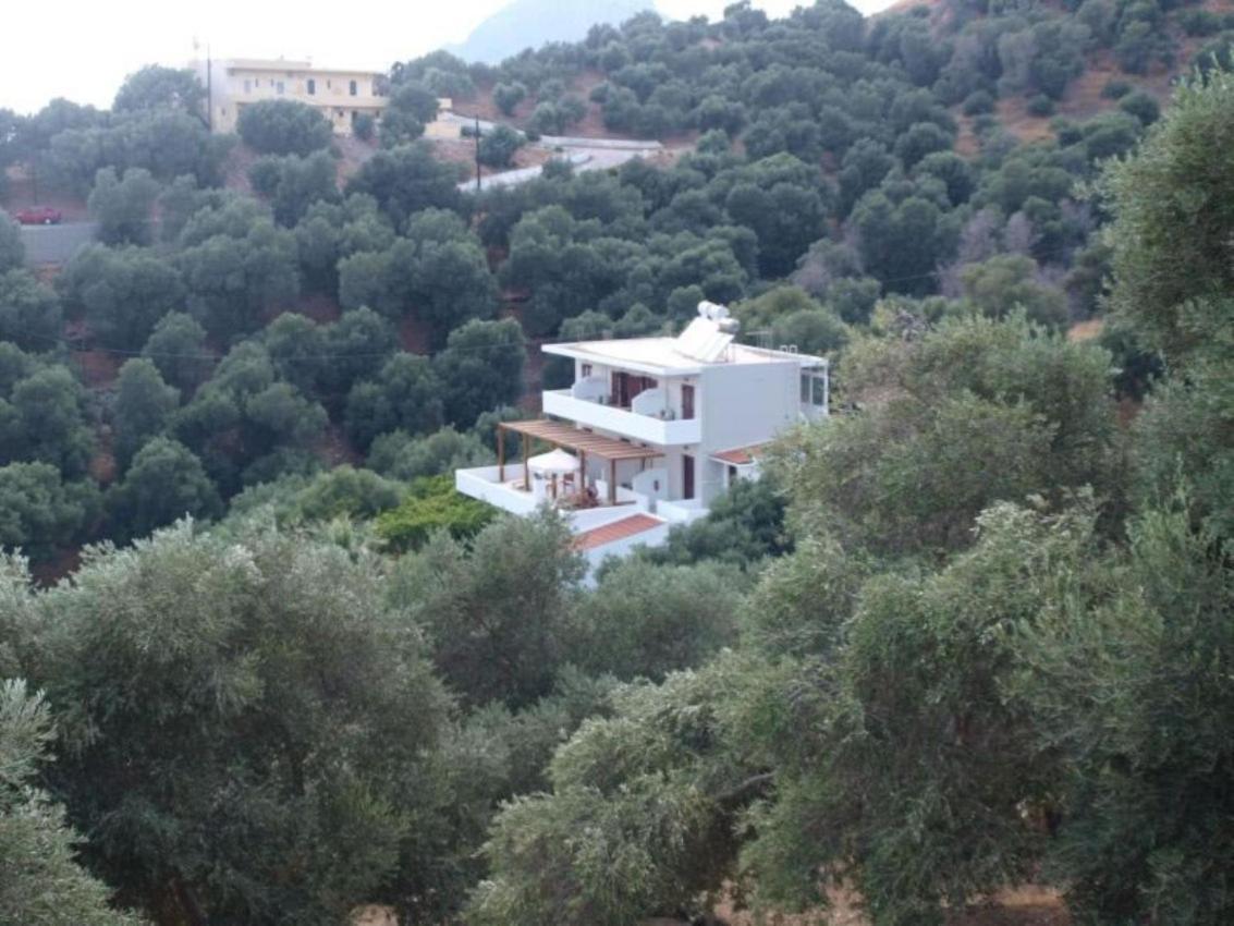 Olive Grove Leilighet Plakiás Eksteriør bilde